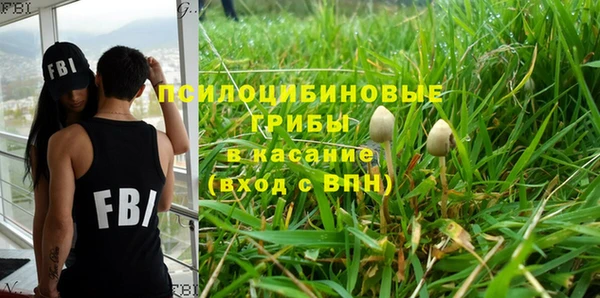 a pvp Алзамай