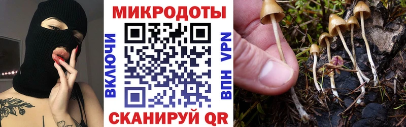 Псилоцибиновые грибы Magic Shrooms  Спас-Клепики 